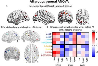 Does hand modulate the reshaping of the attentional system during rightward prism adaptation? An fMRI study